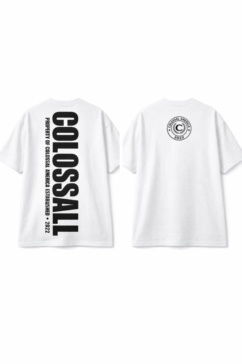 Heavyweight Oversized Tee (White)