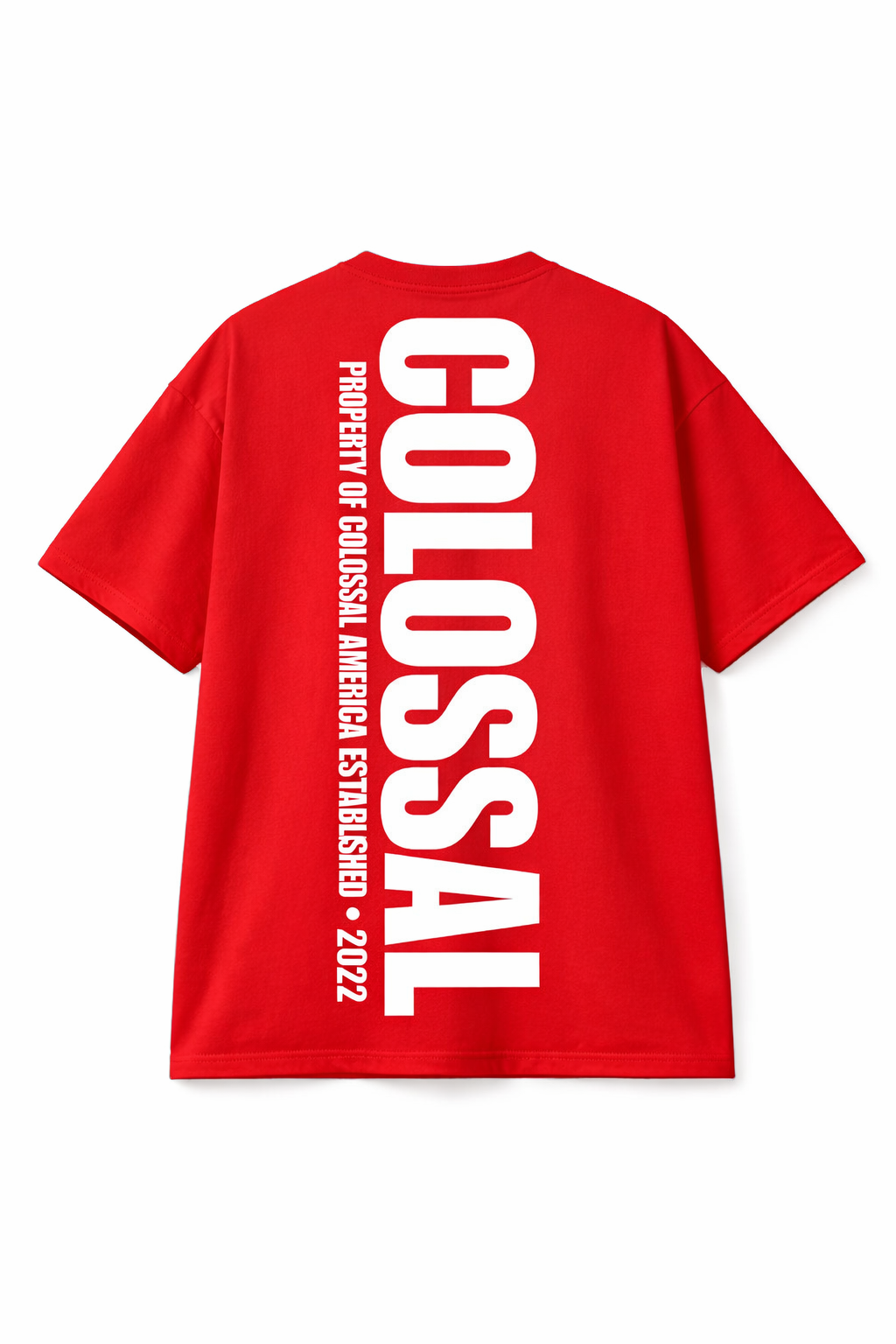 Oversized Heavyweight Tee